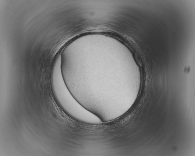 X0000114681457200911181219