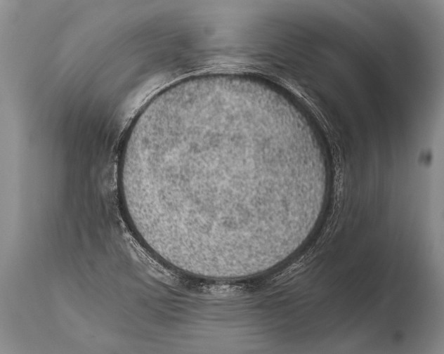 X0000114681459200911181219