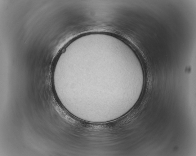X0000114681460200911181219