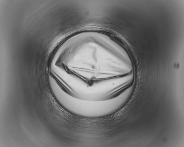 X0000114681461200911181219