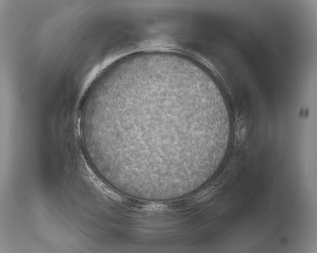 X0000114681462200911181219