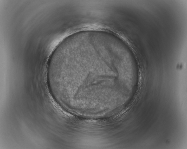 X0000114681463200911181219