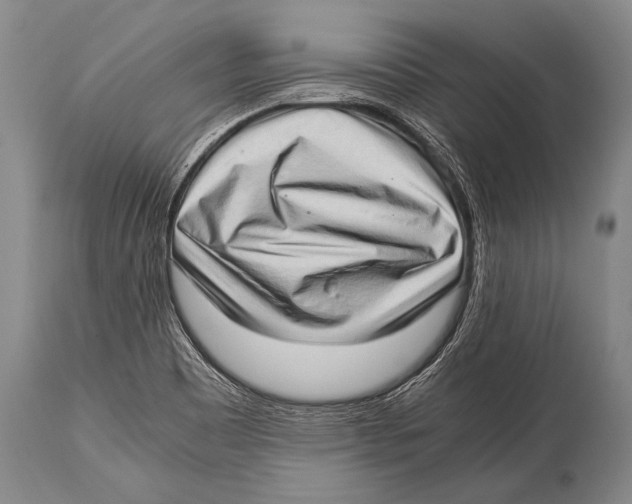 X0000114681465200911181219