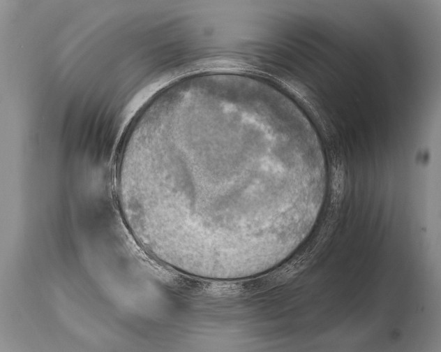 X0000114681466200911181219
