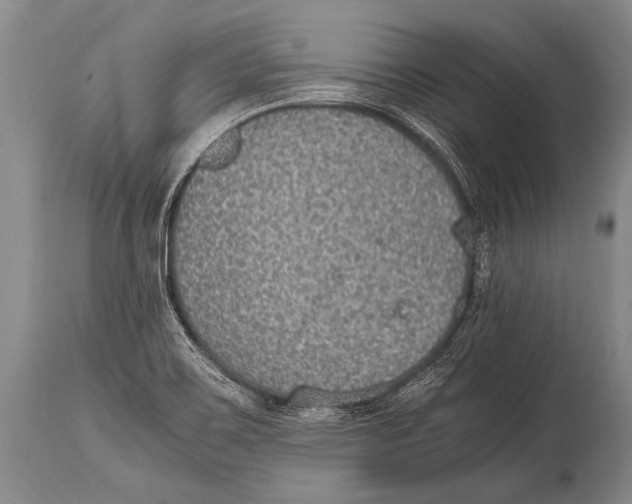 X0000114681467200911181219