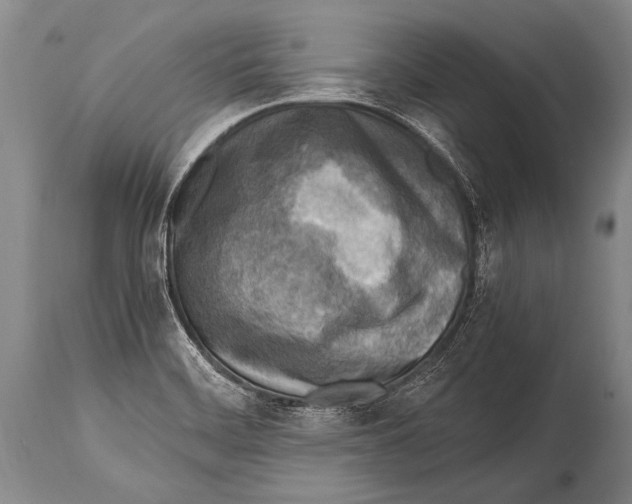 X0000114681468200911181219