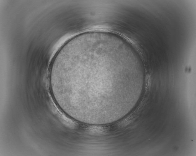 X0000114681470200911181219