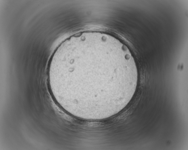 X0000114681471200911181219