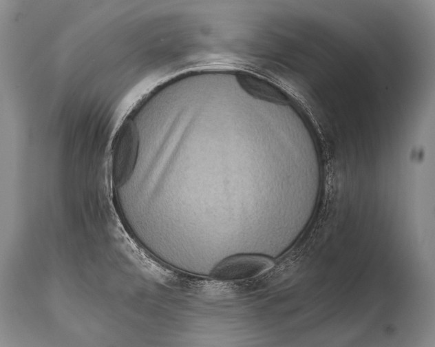 X0000114681472200911181219