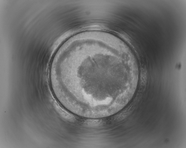 X0000114681474200911181219