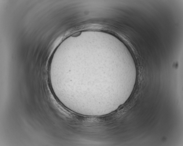 X0000114681475200911181219