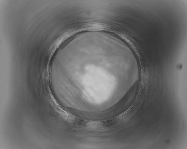 X0000114681477200911181219