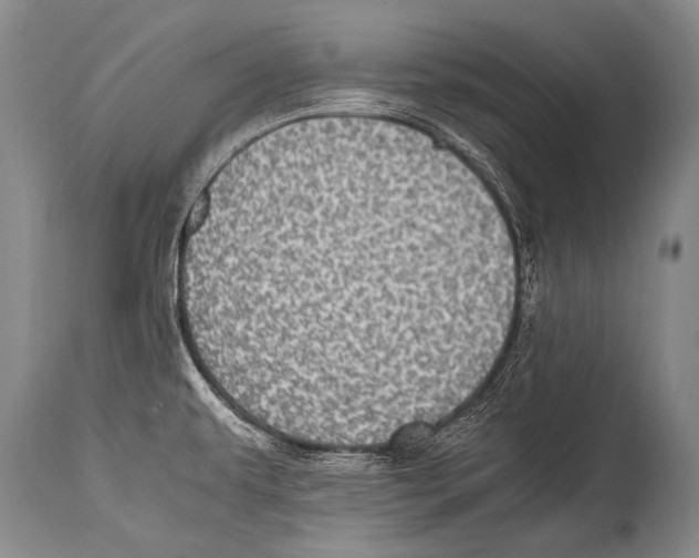 X0000114681479200911181219