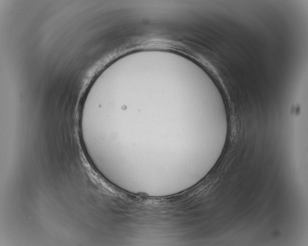 X0000114681480200911181219