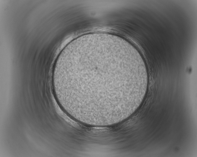 X0000114681483200911181219