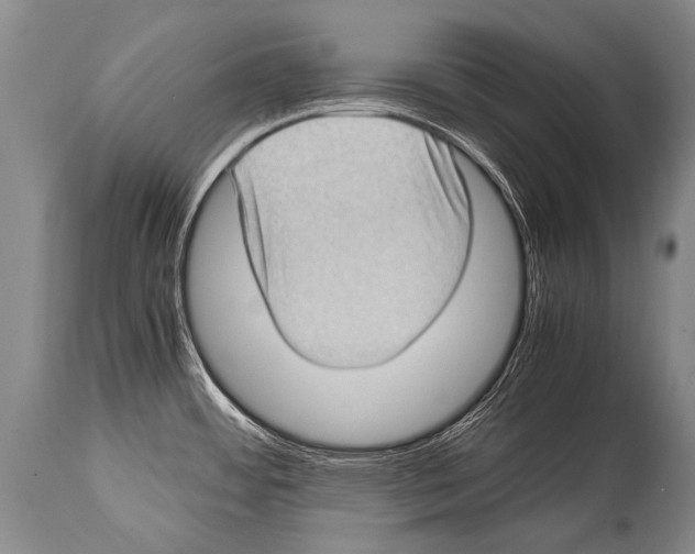 X0000114681484200911181219