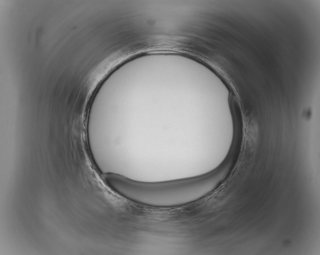 X0000114681485200911181219