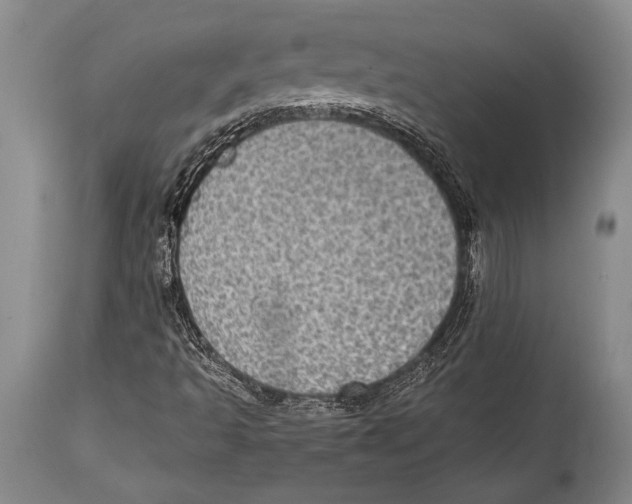 X0000114681493200911181218