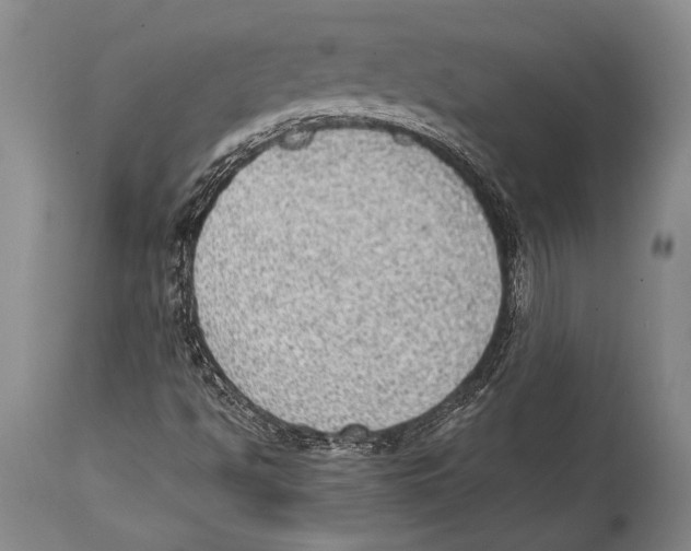 X0000114681494200911181218
