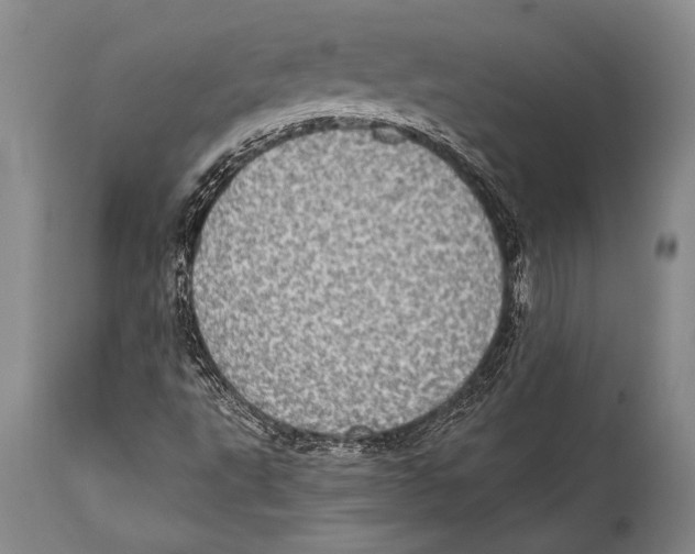 X0000114681495200911181218