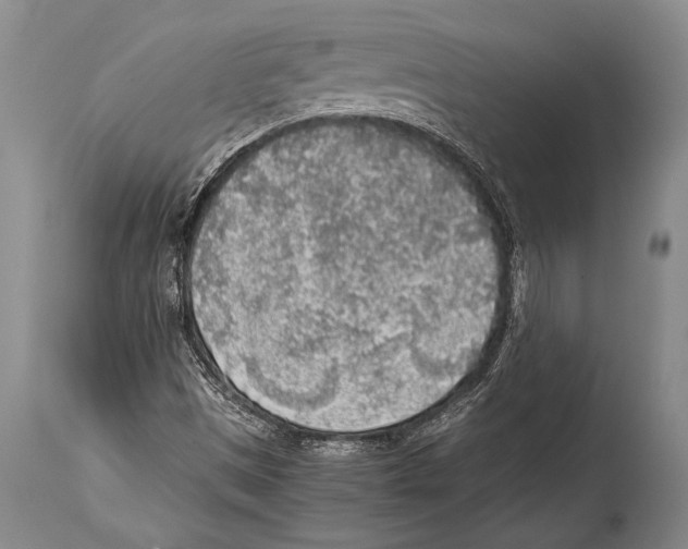 X0000114681497200911181218