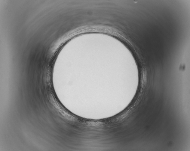 X0000114681498200911181218