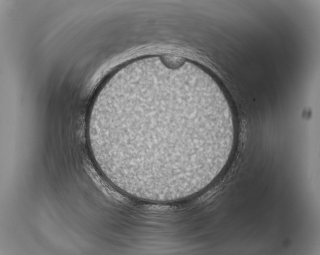 X0000114681499200911181218