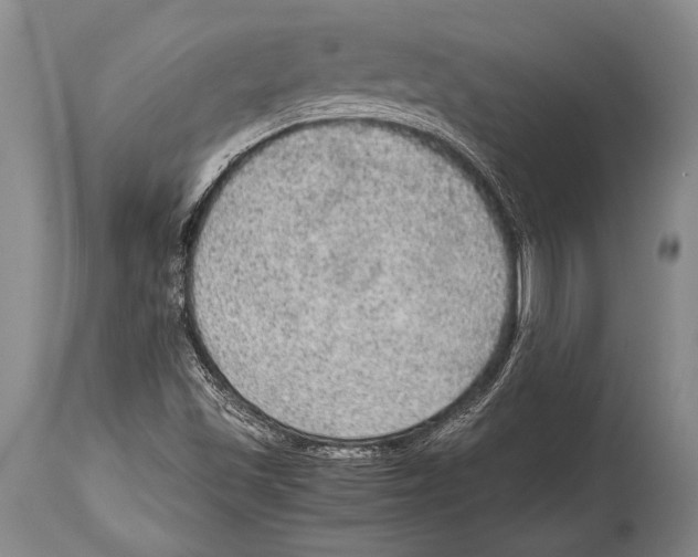 X0000114681501200911181218