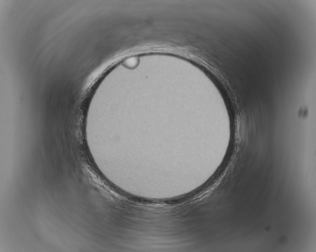 X0000114681502200911181218