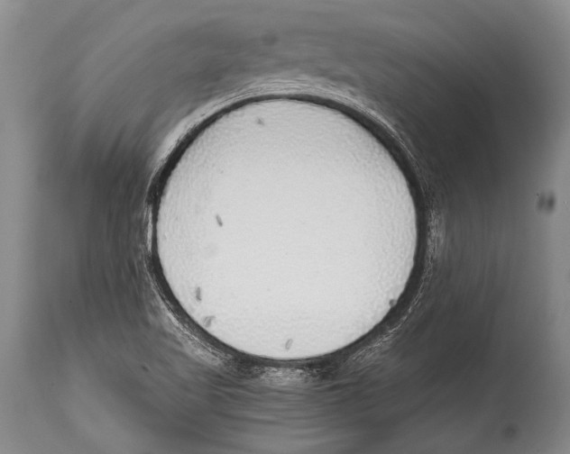 X0000114681509200911181218