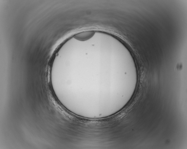 X0000114681510200911181218
