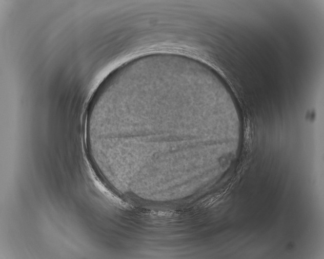 X0000114681515200911181218