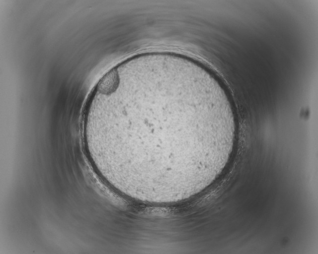 X0000114681517200911181218