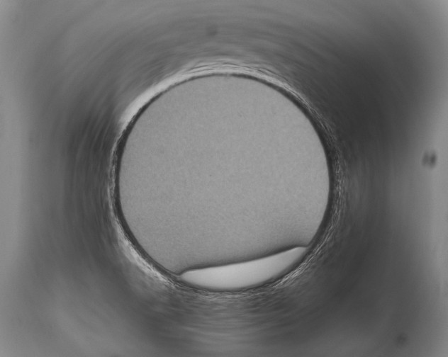 X0000114681518200911181218