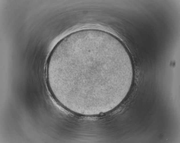X0000114681519200911181218