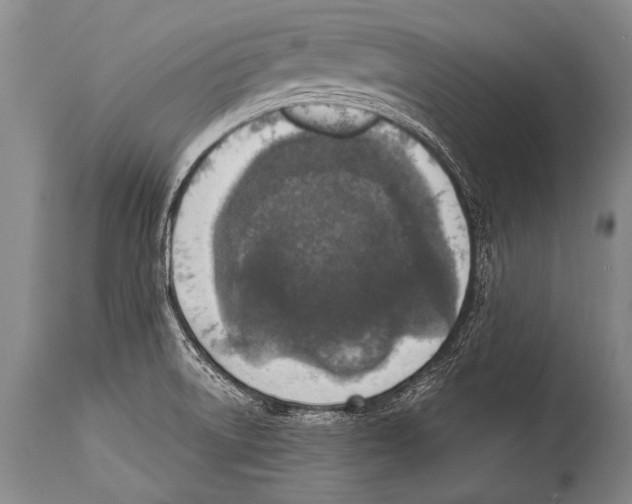 X0000114681522200911181218