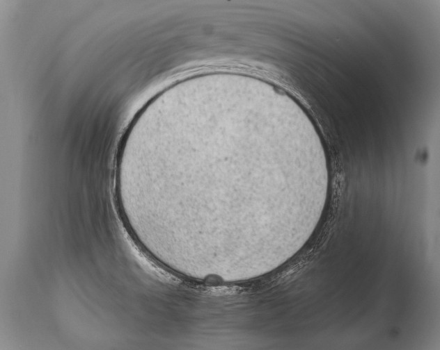X0000114681523200911181218