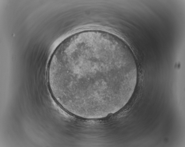 X0000114681527200911181219