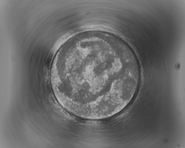 X0000114681529200911181219