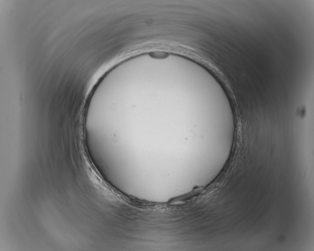 X0000114681530200911181219