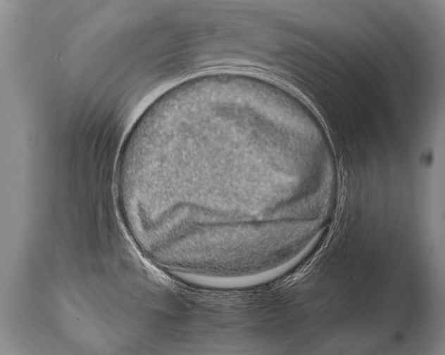 X0000114681533200911181219