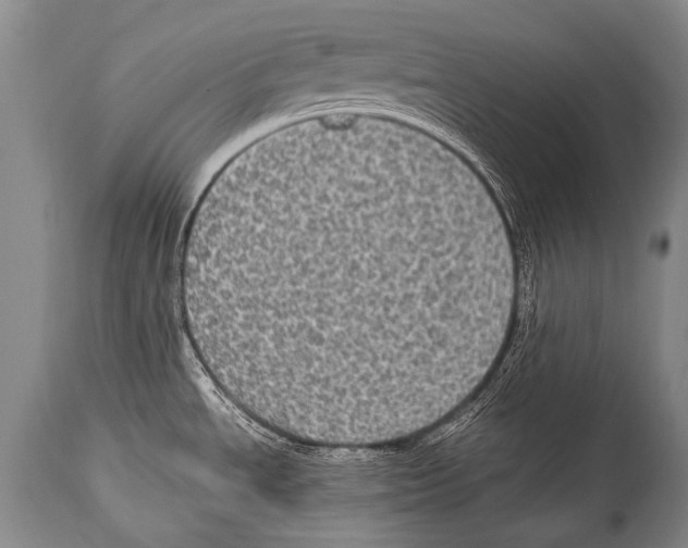 X0000114681534200911181219