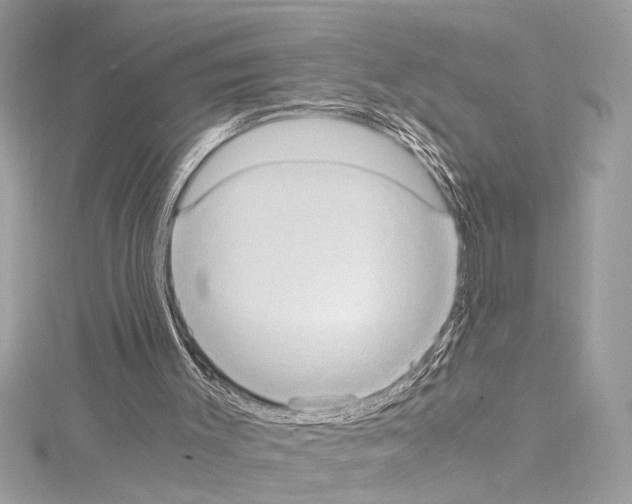 X0000114680003200912021124