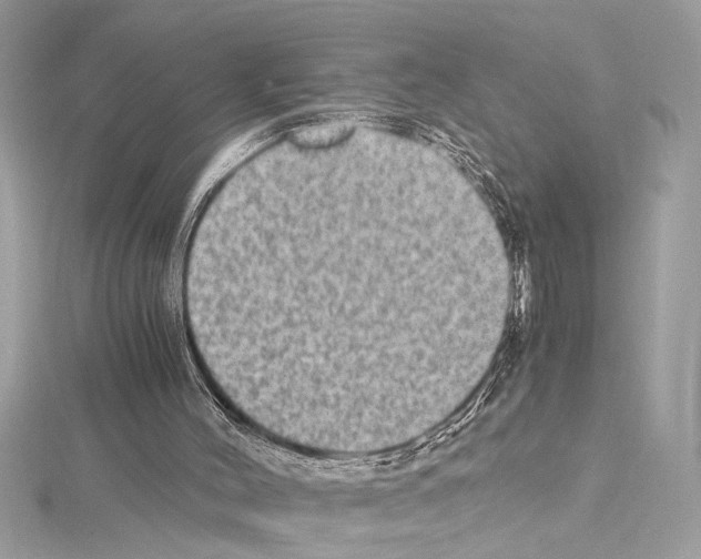 X0000114680004200912021124