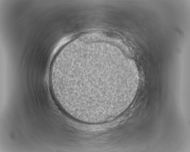 X0000114680006200912021124