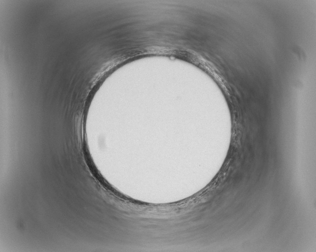 X0000114680011200912021124