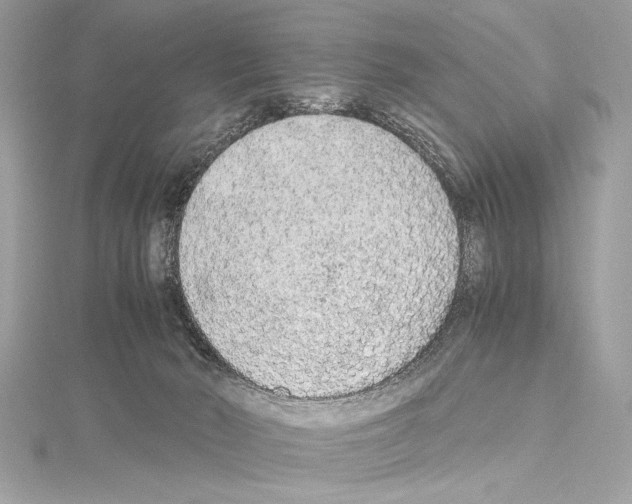 X0000114680030200912021124