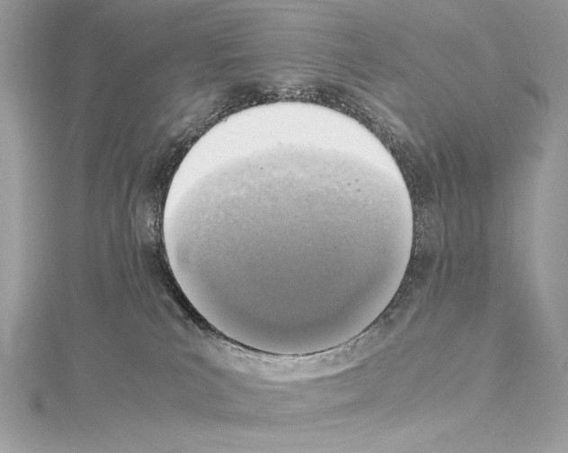 X0000114680039200912021124