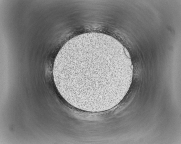 X0000114680040200912021124