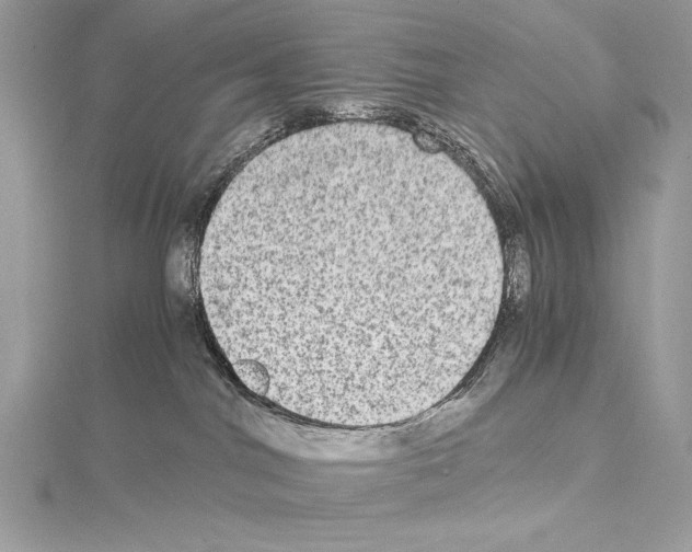 X0000114680044200912021124
